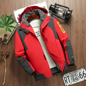 Chaqueta acolchada tres en uno para parejas, resistente al viento e impermeable, talla grande, para ocio, deportes al aire libre, chaqueta a juego de colores, moda, tendencia - Product Image 4