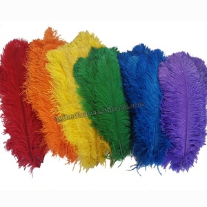 45-50cm vente en gros Plumes bricolage bleu marine en vrac maison grand rouge Art festif plume d'autruche pour carnaval fête mariage artisanat - Product Image 1