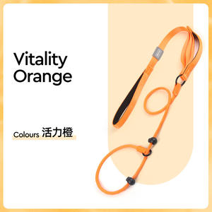 Correa para Perros de Estilo Nuevo, Cadena Tipo P, Correa Deslizante para Exhibición de Perros, Fabricante de Correas - Product Image 4