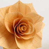 Vente en gros fait à la main en coton Sola en bois fleur roseaux diffuseur diffuseur de parfum stocké plantes décoratives