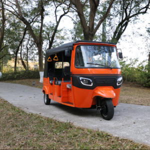 Triciclo Eléctrico Personalizado para Adultos con Carrocería Cerrada, Velocidad de 50-70 km/h y Autonomía de 70-90 km - Product Image 4