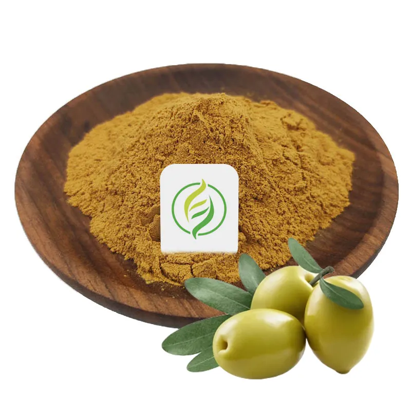 Bán buôn số lượng lớn Olive Leaf extract 10% maslinic Axit chiết xuất