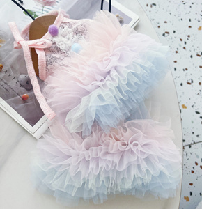 Robe Tutu pour Chien et Chat, Vêtements pour Petit Chien, Accessoires pour Animaux de Compagnie, Robe Assortie pour Chien et Propriétaire, Robe de Luxe pour Newfoundland - Product Image 3