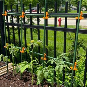 Giá đỡ cây trồng bằng kim loại bán buôn nhà máy, khung leo cây cà chua, giá đỡ cây leo, cọc đỡ cây cho vườn - Product Image 1