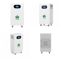 Batterie LiFePO4 16 kWh 51,2 V 314 Ah avec service après-vente international, support local et stock européen pour stockage solaire domestique et alimentation de secours