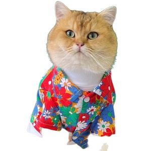 Chemise florale d'été pour chats et petits chiens, vêtements légers de style hawaïen pour animaux de compagnie - Product Image 4