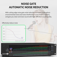 TNH AM-EQ888S égaliseur numérique stéréo graphique professionnel double 31 bandes 2U avec réducteur de bruit processeur DSP affichage LED