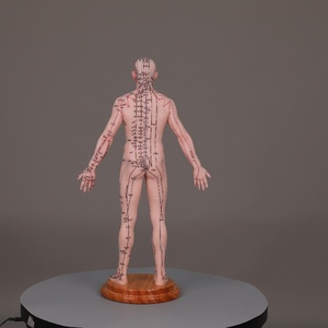 55cm Corps Points D'<span class=keywords><strong>acupuncture</strong></span> Chinois Silicone Acupoints Modèle Humain Grande Base Point Fixe Conception Modèle D'<span class=keywords><strong>acupuncture</strong></span> - Product Image 2