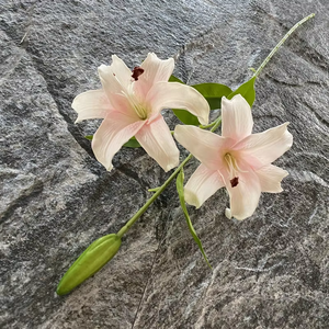 Trang Trí Nội Thất Thực Tế Cảm Ứng Thực Tế <span class=keywords><strong>Calla</strong></span> Tiger <span class=keywords><strong>Lily</strong></span> Nhân Tạo Hoa <span class=keywords><strong>Lily</strong></span> Spider <span class=keywords><strong>Lily</strong></span> Số Lượng Lớn Hoa Hiện Đại Chất Lượng Cao Trang Trí - Product Image 5