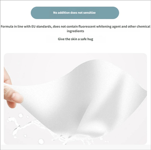 75 Pezzi Salviette Umidificate per la Pulizia degli Animali Domestici in Secchio, Formula Profonda pH Bilanciato Senza Profumo per Deodorizzazione e Cura - Personalizzabile OEM/ODM - Product Image 5