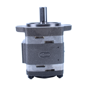 Pompe à engrenages interne hydraulique IGP4-013-R05/11N IGP4-016-R05/11N IGP3 IGP4 IGP5 IGP6 IGP7 pour machines de moulage par injection – Huile haute performance - Product Image 4