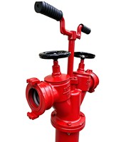 DN150 Hydrant Pemadam Kebakaran Besi Tuang Tahan Karat untuk Pemakaian Luar Ruangan dengan Dua Keluaran, Sesuai Standar GOST 80