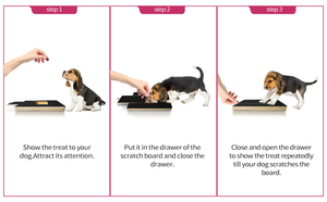 Petdom-almohadilla para rascar con forma de pata de perro, Lima, recortadora, caja para rascar, esmeril, papel de lija, almohadilla para pulir - Product Image 6