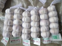 Shan Dong Knoflook Uit China Een Ton Prijs 4.5-6.0Cm Export