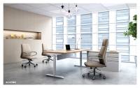 Bureau de direction ergonomique électrique à hauteur réglable, silencieux, à double moteur, avec plateau ovale