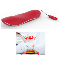 Bestseller Heizender Vibrator Elektrischer Unterer Rücken Massagegerät Aufblasbarer Lendenwirbel-Massageapparat