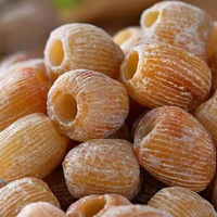Zadenloze zoete smaakvolle gedroogde dadels gezonde snack bulk vacuüm verpakt