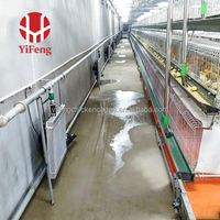 Système de cages à poulets de chair type H, cage à poulets de chair avec alimentation et abreuvement automatiques, bande de fumier, sol en plastique à lattes, 4 niveaux, vente en gros