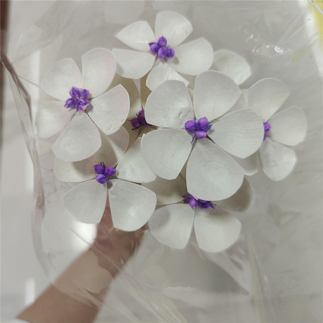 Handmade Gilly Flower Dried Arrangement Weddings Christmas Parties Mother's Day Light-Colored Floral Bouquet Bulk Bags Wholesale