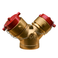 Raccord de raccordement bidirectionnel en laiton/fer fonte DN100, capacité de charge 50-200kN, thermolaqué, pour la lutte contre les incendies - Fournisseur d'usine CA