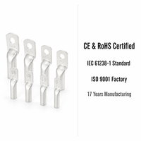 Cosse de câble tubulaire en cuivre étamé 16-240mm² Connecteur à sertir IEC61238 CE RoHS Usine OEM certifiée ISO9001 depuis 17 ans