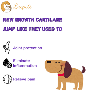 ODM OEM kıdemli köpek ortak bakım tabletleri veteriner-artrit rölyef Pet sağlık ve takviyeler için tavsiye - Product Image 3