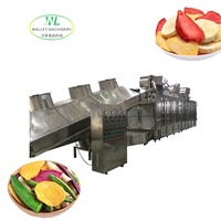 Hotsell Walley RVS Automatische Motor Hoge Temperatuur Voedseltunnel Droger Groente Knoflook Dehydraterende Droogmachine