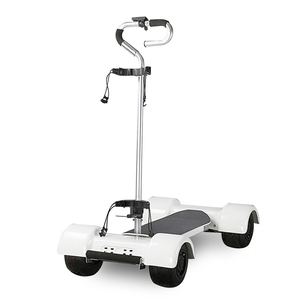 DDP Europa Alemania EE. UU. Patinete eléctrico para adultos Carro de golf de 4 ruedas Motocicleta plegable de aleación de aluminio <span class=keywords><strong>E</strong></span> Scooter con carga <span class=keywords><strong>m</strong></span>áxima 150kg - Product Image 1