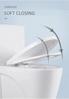 Ensemble d'accessoires de salle de bain Comodes en céramique couleur blanche Australie Standard Wc Toilette