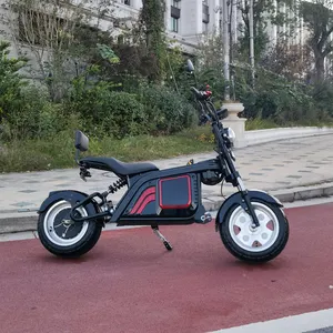 Elektrische Driewieler Elektrische Scooter Bakfiets, Elektrische Trikes Elektrische Driewieler, Volwassen Driewieler Lading Elektrische Driewielers Trikes