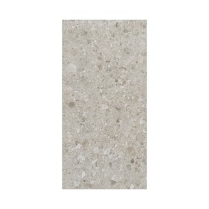 Piastrella in Porcellana Effetto Cenere Nantes 12x24 Pollici per Pavimenti e Pareti - Product Image 3
