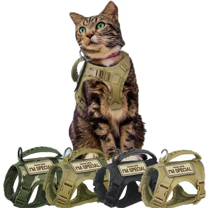 Harnais tactique pour chat large réglable pour animaux de compagnie avec boucle en métal pour chat moyen et grand