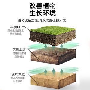 Activador de Suelo Qianshu Granular 250g Para Mejorar el Suelo y el Crecimiento de las Plantas - Product Image 3