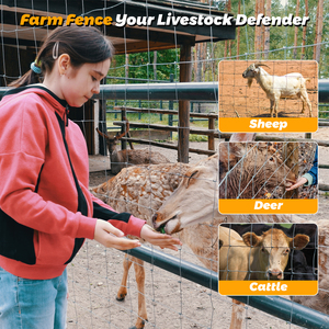 10-مقياس 6 بوصة 4 * * our-بعد الماشية رخيصة الثمن ملحومة لالغزلان المعاوضة مزرعة المفصلات - Product Image 6