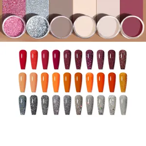 Wholesale Price Coloured Acrylic Nail Powder Premier Nails Powder Glue System Kit Nail Dipping Powder Starter Kit 161 Colors