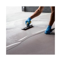 Grossiste de peintures d'art Revêtement en microciment à bas prix Stuc de construction Plâtre