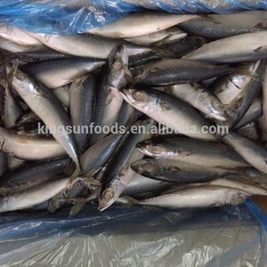 Pescado <span class=keywords><strong>caballa</strong></span> Chub mackerec pescado - Product Image 5