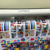 Nueva Impresora de Inyección de Tinta Automática Roll-to-Roll Roland RE640 con 1 Año de Garantía para Impresión de Tela y Cabezal de Impresión con Tinta Eco Solvente