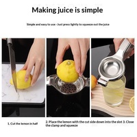 Handmatige citruspers van roestvrij staal voor citroenen en limoenen, geschikt voor bar, restaurant, keuken, groothandel