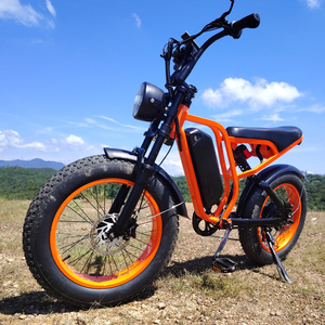 Vélo électrique Emtb <span class=keywords><strong>Retro</strong></span> 52v 1200W 20AH, vélo de route, vélo tout-terrain, pneu gras, vélo électrique 20 * 4.0, vélo de montagne électrique - Product Image 3