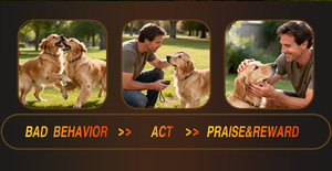 Nuovo Dispositivo Antiabbaio per Cani in Nylon Impermeabile, 3X Ultrasuoni Antiabbaio, Portata 23 <span class=keywords><strong>FT</strong></span>, Sicuro, Umano, Ricaricabile - Product Image 5