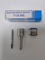 7135-646 Kit de réparation pour injecteur 28232251 EJBR05102D R05102D R03101D R05101D 0286KE29W87 166001137R Kit de soupape d'injecteur 7135-646