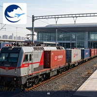 Bahnfracht-Versand von Chongqing in die Schweiz FCL Schienenfracht DDP Tür-zu-Tür-Service