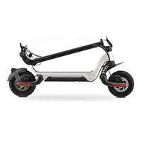 Trottinette Électrique 800W en Promotion, Cadre en Alliage d'Aluminium, Trottinette Pliante à Deux Roues