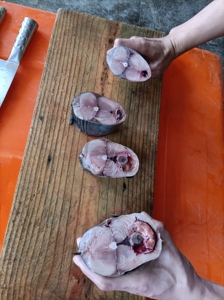 1000g + जमे हुए बोनिटो मछली उछाल ट्यूना - Product Image 4