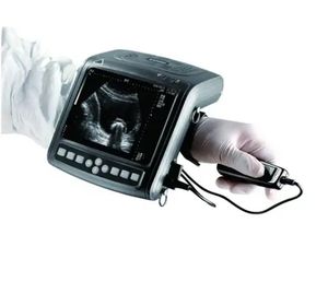 Machine à ultrasons vétérinaire rectale portative Kaixin KX5200 à prix avantageux en Chine pour les vaches et les chevaux - Product Image 1