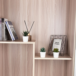 Ensemble de 3 mini-plantes succulentes en plastique - Petites plantes artificielles de bureau avec pots décoratifs - Product Image 2