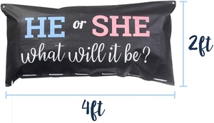 Kit per Festa di Rivelazione del Sesso con Sacchetto per Palloncini Rosa e Blu per Giochi di Baby Shower e Sfondo Fotografico - Product Image 2