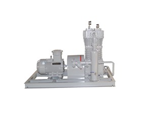 Compresseur à courroie BT4 à lubrification sans huile, à fréquence variable, petit compresseur huile-gaz - Product Image 6