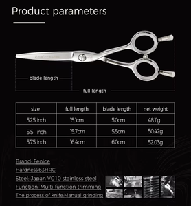 Fenice VG10 <span class=keywords><strong>Ciseaux</strong></span> de coupe de coiffure en <span class=keywords><strong>argent</strong></span> de haute qualité avec <span class=keywords><strong>ciseaux</strong></span> de cheveux de Salon de coiffure à deux queues - Product Image 6